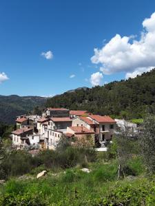 a group of houses in a village on a hill at Maison de Hameau in Breil-sur-Roya