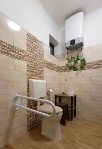 a bathroom with a toilet and a tv on the wall at Gedeon Tanya Panzió in Jakabszállás