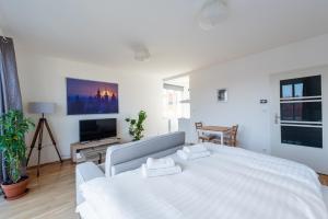 Televízia a/alebo spoločenská miestnosť v ubytovaní Sunny Safron apartment