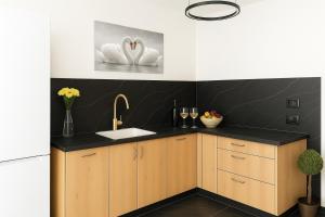 Una cocina con un fregadero y dos cisnes en la pared. en דירה מקסימה בחדרה 5 דקות מהים, en H̱adera