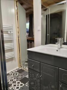 a bathroom with a sink and a mirror at Gîte du Gardoir in Boresse-et-Martron +46 photos
