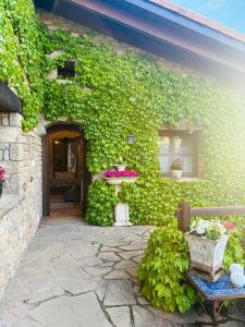 Zahrada ubytování Hotel Barosse