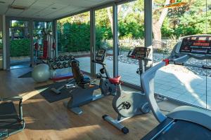 Fitness centrum a/nebo fitness zařízení v ubytování Hotel Bauer & Sporting