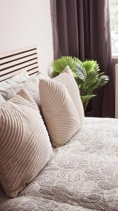 a bed with white pillows and a plant on it at Alross Guest House in London