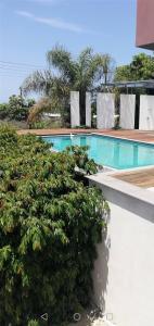 a swimming pool next to a resort with trees at Antonia - Christina Villa in Argaka