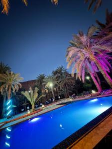 拉希迪耶Hotel Kasbah Fenguig的夜间棕榈树游泳池