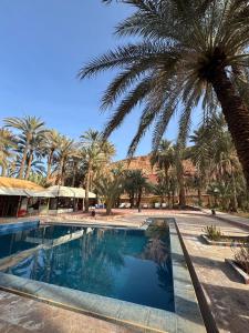 拉希迪耶Hotel Kasbah Fenguig的度假村里有棕榈树的游泳池