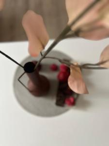 a person is holding a piece of food in a bowl at Apartman Tara in Subotica +30 photos