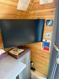 TV a/nebo společenská místnost v ubytování Bonny Wee Snug - Pod in Spean Bridge