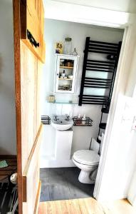 a bathroom with a toilet and a sink at Gorgeous Apartment near Bournemouth Beach in Bournemouth +19 photos