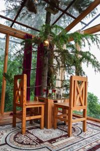 Κήπος έξω από το Thecozynest Jacuzzi treehouse