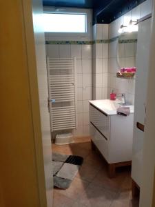 a bathroom with a white sink and a shower at Vogelparadies Homestay Nichtraucher in Hemhofen +25 photos