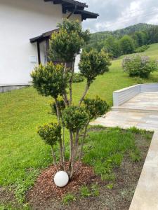 Zahrada ubytování Appartement Bergblick II - MODERN LIVING