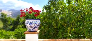 a blue and white vase with red flowers on a wall at El Carmen de Sexi in Almuñécar +41 photos