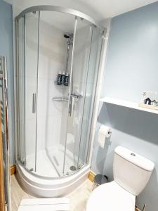 a bathroom with a shower and a toilet at The Stables at The Forge Self Contained Apartment in Pyecombe