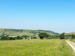 a field of green grass with a dirt road at The Stables at The Forge Self Contained Apartment in Pyecombe