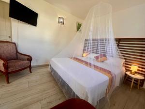 a bedroom with a bed with a mosquito net at Kay Soley La in Saint-François +33 photos
