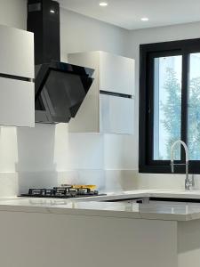 Kuchyň nebo kuchyňský kout v ubytování apartment lac 2