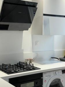 Kuchyň nebo kuchyňský kout v ubytování apartment lac 2