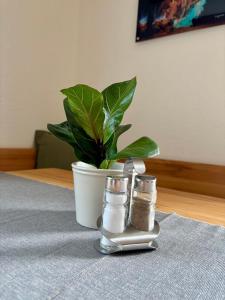 Foto sihtkohas Semriach asuva majutusasutuse Ferienwohnung am Labyrinth galeriist