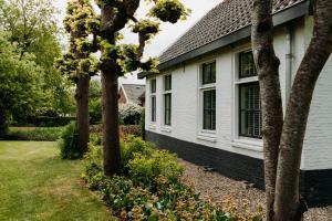 Κήπος έξω από το Boutique B&B Oud Aa