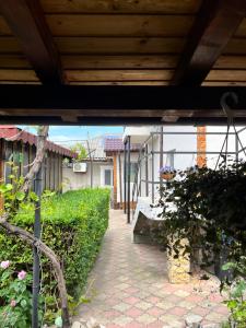 Zahrada ubytování Vila Aron