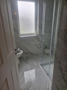 un bagno con doccia, WC e finestra di Cobh Rambler a Cobh
