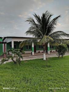 a palm tree in front of a building at Hotel Europa de Itaguaí LTDA in Itaguaí