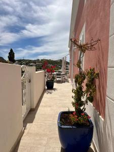 Φωτογραφία από το άλμπουμ του Turistcasa - Gitti House - σε Ponza
