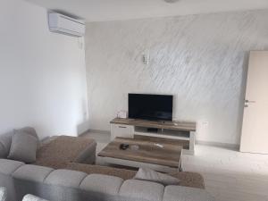a living room with a couch and a flat screen tv at Lake View Apartment in Briđe