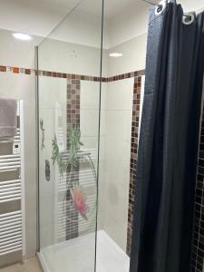 a shower with a glass door with a plant in it at L'Arche de Porquerolles in Porquerolles
