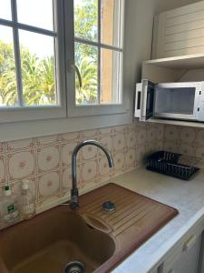 a kitchen counter with a sink and a microwave at L'Arche de Porquerolles in Porquerolles