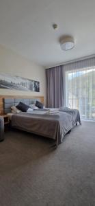 a bedroom with a large bed and a large window at Apartament Czarna Góra Silver in Sienna