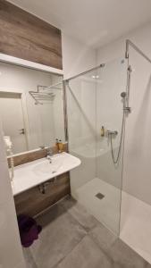 a bathroom with a sink and a glass shower at Apartament Czarna Góra Silver in Sienna