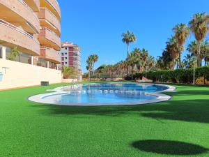una piscina nel mezzo di un prato con palme di AyF 1ª LINEA 3 HABITACIONES VISTAS AL MAR a Oropesa del Mar