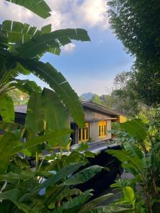 una casa vista attraverso le foglie degli alberi di Banana Bunks Kandy a Kandy