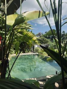 Piscina di Banana Bunks Kandy o nelle vicinanze