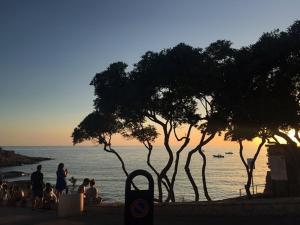 Paesaggio naturale nelle vicinanze dell'affittacamere