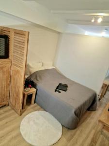 阿姆斯特丹New Apartment in the Heart of Amsterdam的卧室里有一张床，床上有一个枕头