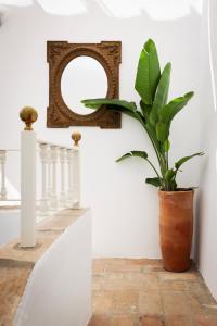 Fotografija u galeriji objekta Casa Las Cuadras - Califa Casas Vejer u gradu Veher de la Frontera