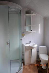 レスノイにあるGuest House na Zelenoyのバスルーム(シャワー、洗面台、トイレ付)