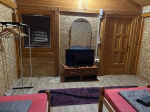a living room with a tv and a mirror at Flora&Fauna in Bihać