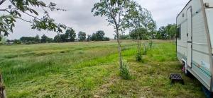 Zahrada ubytování Caravan Romsicht Sneek