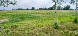 Zahrada ubytování Caravan Romsicht Sneek