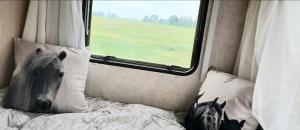 Postel nebo postele na pokoji v ubytování Caravan Romsicht Sneek