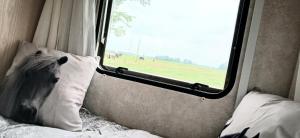 Postel nebo postele na pokoji v ubytování Caravan Romsicht Sneek