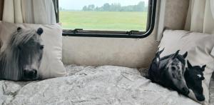 Postel nebo postele na pokoji v ubytování Caravan Romsicht Sneek