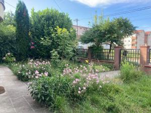 Zahrada ubytování Artists Inn, large 2 bed duplex apartment, parking