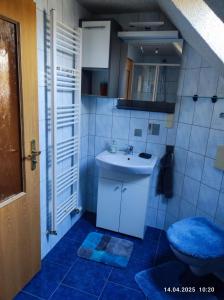 a bathroom with a sink and a toilet at Ferienwohnung am Schloss in Stolberg i. Harz