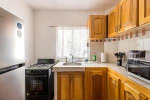 Een keuken of kitchenette bij Apartments Olas Altas Romantic Zone of Puerto Vallarta